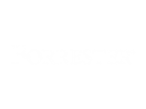 ACTICO Award logo Forrester