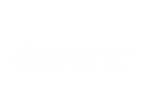 ACTICO Award logo Gartner