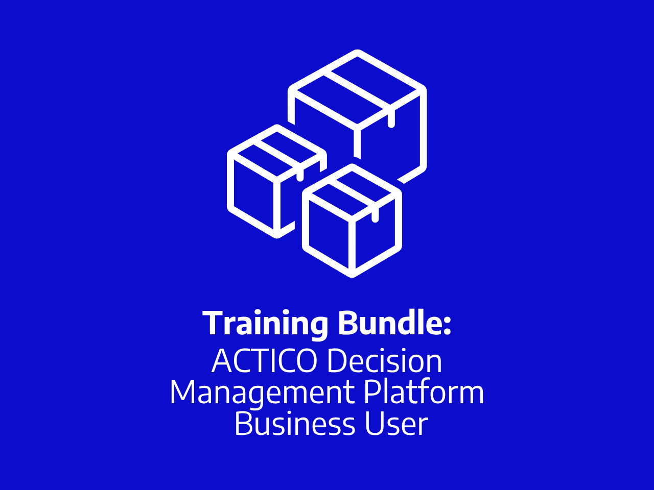 ACTICO Decision Management Platform Business User Bundel